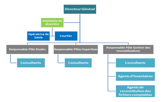Organigramme MasterValue